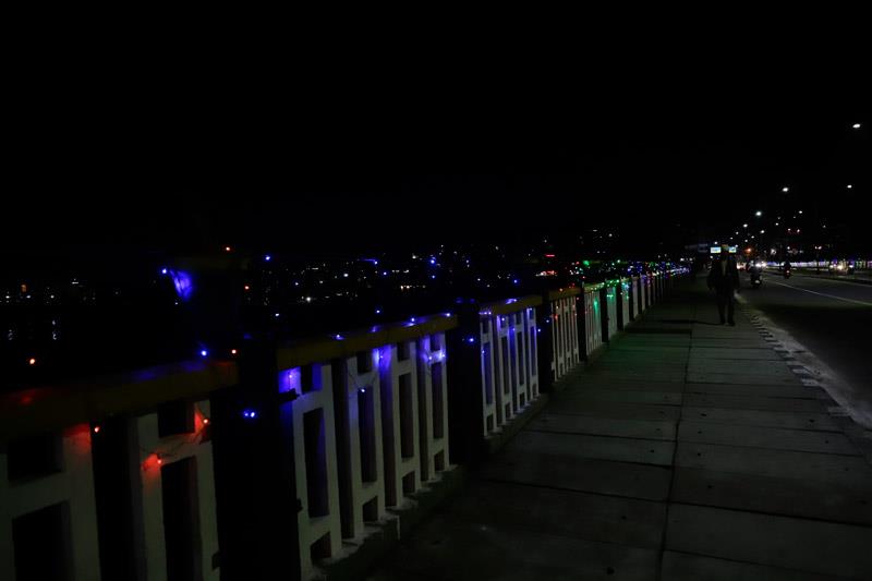 Bridge Lights